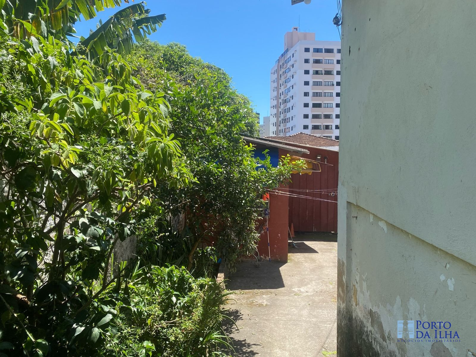 Imagem da propriedade 5